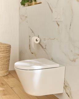 Подвесной унитаз Jacob Delafon Bastille EDAS102-00 безободковый белый